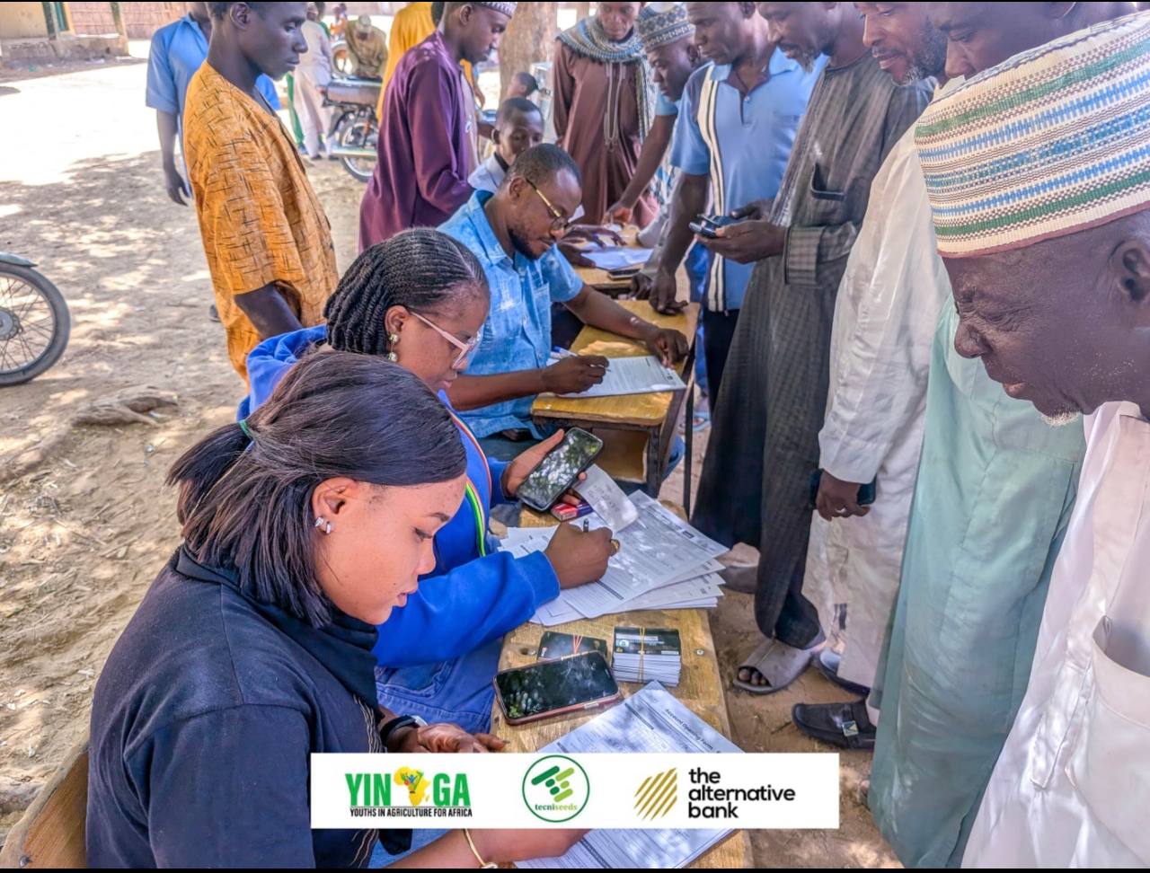 Jigawa Improved Seeds — Photo 3